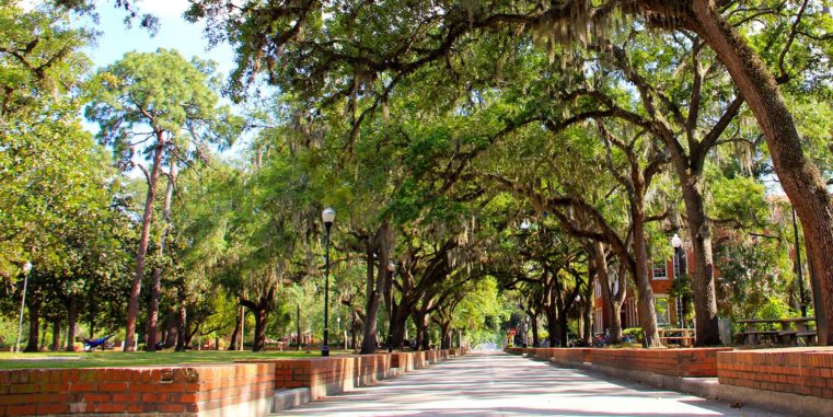 University of Florida1