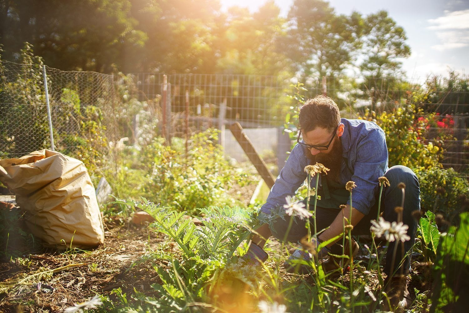 10 Best Online Masters In Sustainability Degrees - 